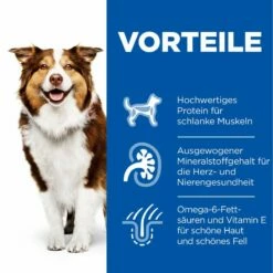 Hills Science Plan Canine Mature Adult 7+ Hund Huhn Dosenfutter 12 X 370 G Dosenfutter Mit Huhn -Geflügelbedarf Verkäufe 2024 bOfrQfyKjw55 52742051598 3