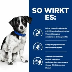 Hills I/d Stress Mini ActivBiome+ Trockenfutter Für Hunde 1 Kg Trockenfutter Für Hunde 9 Hills I/d Stress Mini ActivBiome+ Trockenfutter Für Hunde 1 Kg Trockenfutter Für Hunde -Geflügelbedarf Verkäufe 2024 cFcQAH6M2XU4 52742045009 3