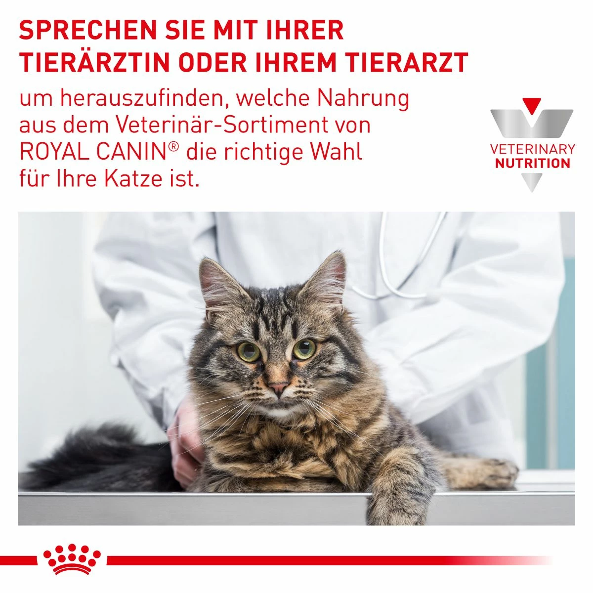 Royal Canin Mature Consult Katze Frischebeutel 12 X 85 G Frischebeutel Für Katzen 7 Royal Canin Mature Consult Katze Frischebeutel 12 X 85 G Frischebeutel Für Katzen – Bild 7
