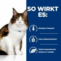 Hills Feline W/d Multi-Benefit Huhn Frischebeutel Für Katzen 12 X 85 G Frischebeutel Mit Huhn 8 Hills Feline W/d Multi-Benefit Huhn Frischebeutel Für Katzen 12 X 85 G Frischebeutel Mit Huhn -Geflügelbedarf Verkäufe 2024 dXBnKrhemU2Y 52742053783 3
