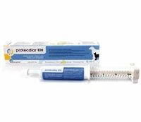 Ecuphar Protecdiar KH Paste 15 Ml Protecdiar KH Paste