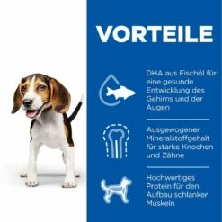 Hills Science Plan Canine Hund Puppy Huhn Dosenfutter 12 X 370 G Dosenfutter Mit Huhn -Geflügelbedarf Verkäufe 2024 exq99wwSD4s9 52742050874 3