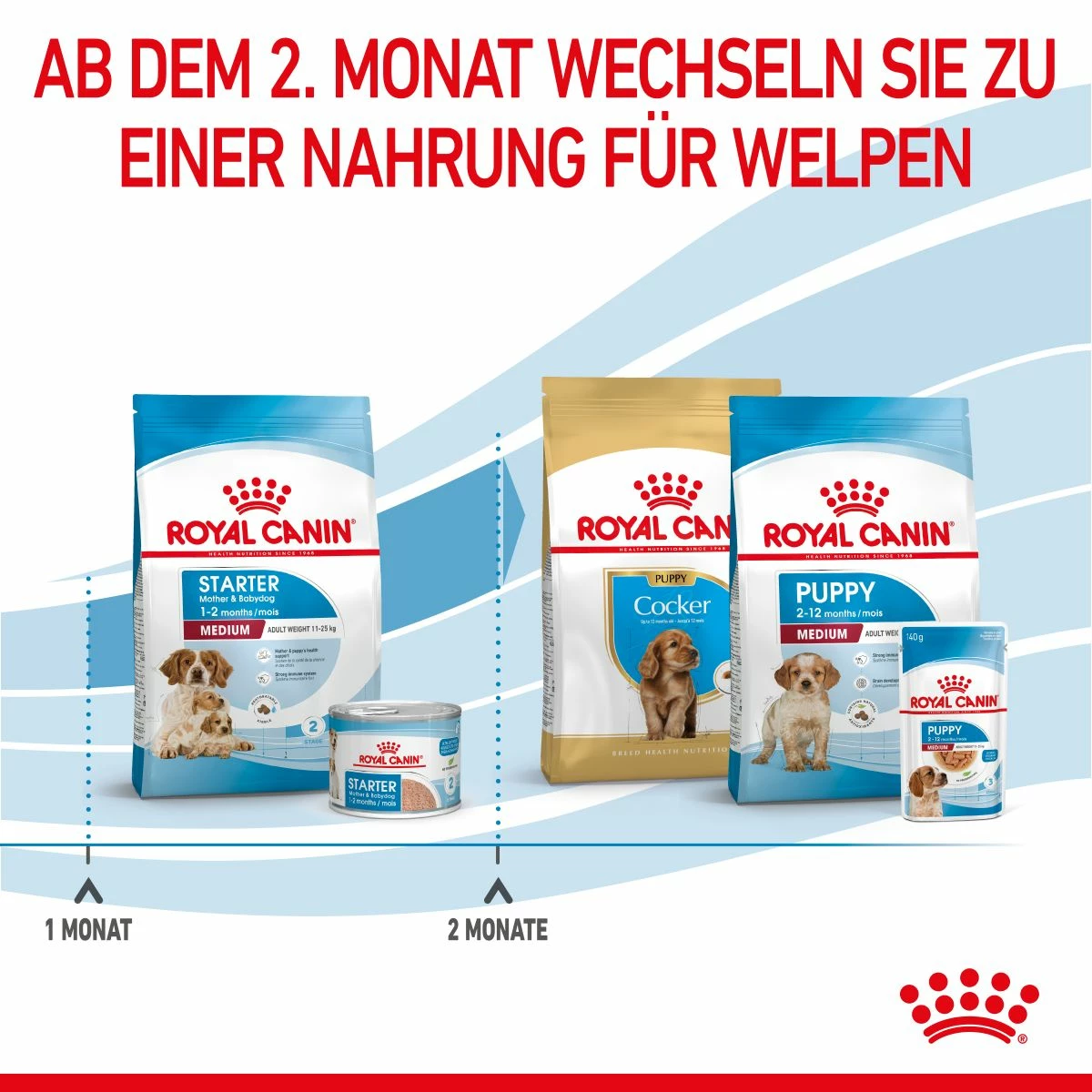Royal Canin Medium Starter Trockenfutter 15 Kg Trockenfutter Für Hunde 7 Royal Canin Medium Starter Trockenfutter 15 Kg Trockenfutter Für Hunde – Bild 7