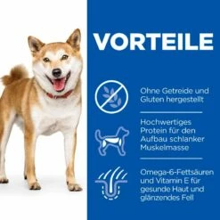 Hills Science Plan Canine Adult No Grain Medium Huhn Trockenfutter 14 Kg Trockenfutter Mit Huhn -Geflügelbedarf Verkäufe 2024 hVJYWE3RkqNb 52742037080 3