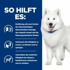 Hills K/d + Mobility Ragout In Dosen Für Hunde 12 X 354 G Dosenfutter Für Hunde -Geflügelbedarf Verkäufe 2024 iIWgzwnxkqQc 52742021423 4