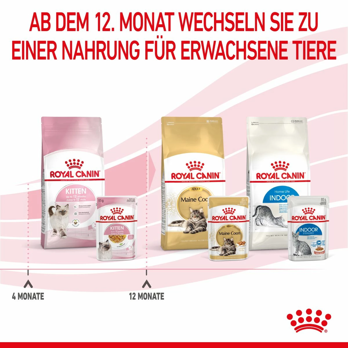 Royal Canin Kitten Frischebeutel Mit Gelee 12 X 85 G In Gelee Frischebeutel 7 Royal Canin Kitten Frischebeutel Mit Gelee 12 X 85 G In Gelee Frischebeutel – Bild 7