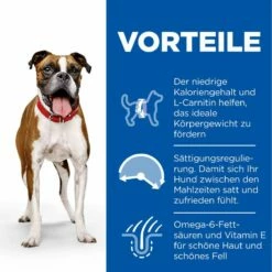 Hills Science Plan Canine Light Adult Medium Mit Huhn Trockenfutter 14 Kg Trockenfutter 5 Hills Science Plan Canine Light Adult Medium Mit Huhn Trockenfutter 14 Kg Trockenfutter -Geflügelbedarf Verkäufe 2024 jkGSggzywVXb 52742025834 3