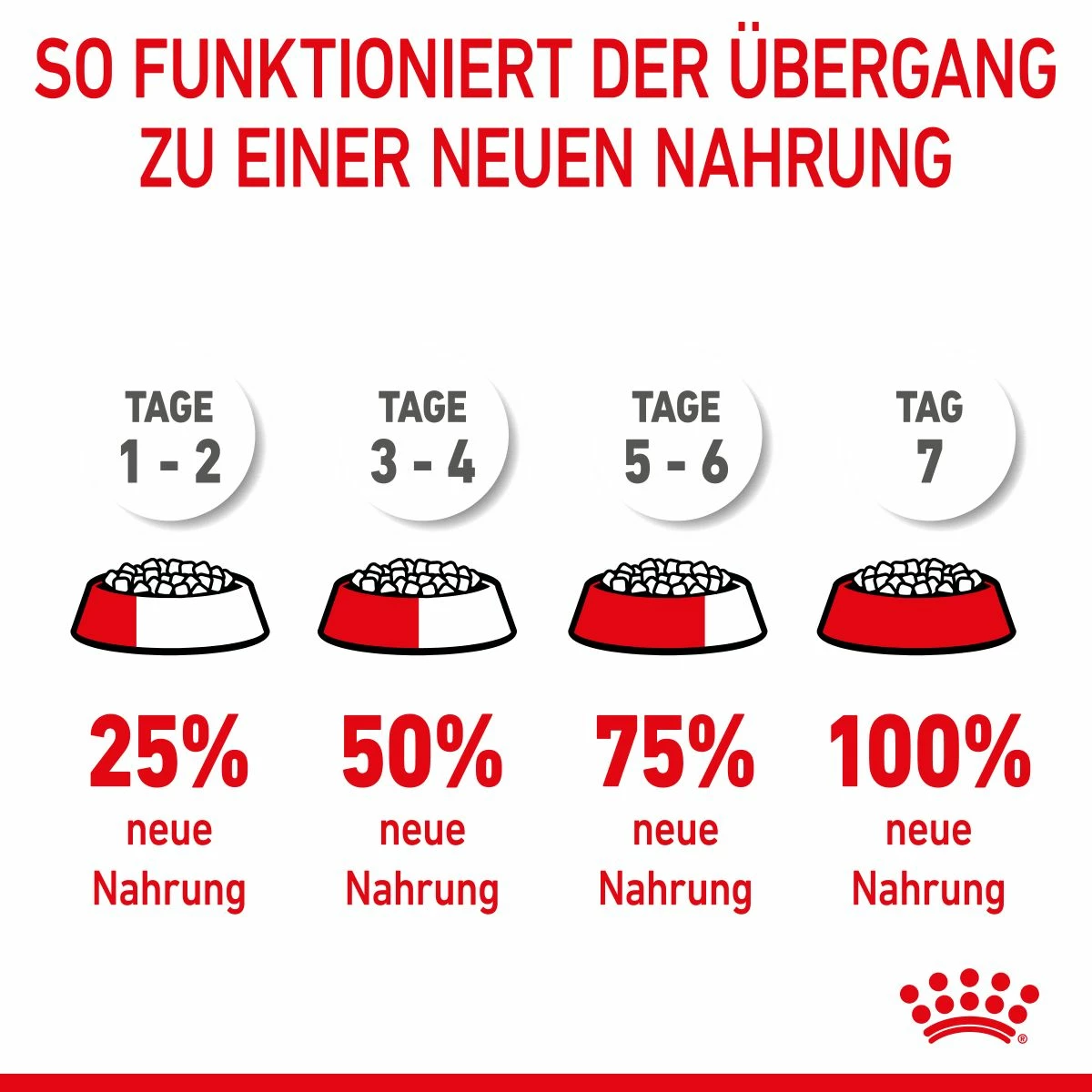 Royal Canin Medium Puppy Für Welpen Mittelgroßer Hunderassen 4 Kg Trockenfutter 10 Royal Canin Medium Puppy Für Welpen Mittelgroßer Hunderassen 4 Kg Trockenfutter – Bild 10