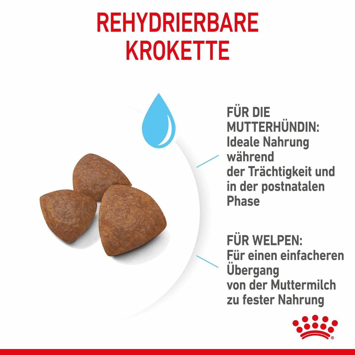 Royal Canin Medium Starter Trockenfutter 15 Kg Trockenfutter Für Hunde 6 Royal Canin Medium Starter Trockenfutter 15 Kg Trockenfutter Für Hunde – Bild 6