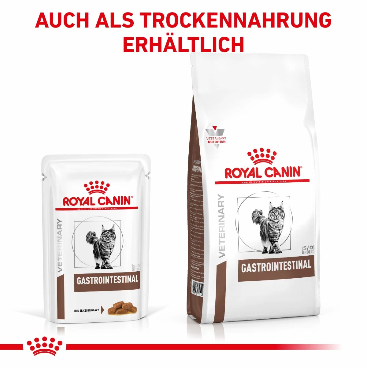 Royal Canin Gastro Intestinal Frischebeutel Für Katzen 12 X 85 G Frischebeutel Für Katzen 8 Royal Canin Gastro Intestinal Frischebeutel Für Katzen 12 X 85 G Frischebeutel Für Katzen – Bild 8