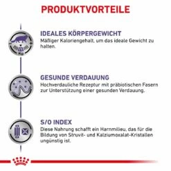 Royal Canin Cat Neutered Balance Frischebeutel 12 X 85 G Frischebeutel Für Katzen -Geflügelbedarf Verkäufe 2024 lkcQr7QLW1DL 9003579015643 4036 4