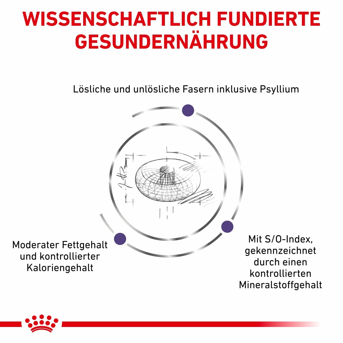 Royal Canin Neutered Adult Small Dogs Hundefutter 1,5 Kg Hundefutter 4 Royal Canin Neutered Adult Small Dogs Hundefutter 1,5 Kg Hundefutter – Bild 4