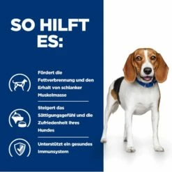 Hills R/d Dosenfutter Für Hunde 12 X 350 G Dosenfutter Für Hunde -Geflügelbedarf Verkäufe 2024 onZhcGJXp0LN 52742801407 4
