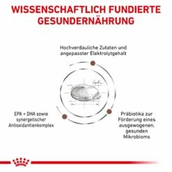 Royal Canin Gastrointestinal Trockenfutter Für Hunde 2 Kg Trockenfutter Für Hunde -Geflügelbedarf Verkäufe 2024 p0NKRvr1tB5I 3182550905695 908 4