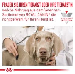 Royal Canin Hypoallergenic Mousse Hund Dosen 12 X 200 G Dosenfutter Für Hunde -Geflügelbedarf Verkäufe 2024 pHmdTASDO03p 9003579311615 4029 3