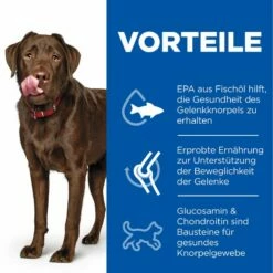 Hills Science Plan Canine Adult Healthy Mobility Large Breed Huhn Trockenfutter 14 Kg Trockenfutter -Geflügelbedarf Verkäufe 2024 rMHVNflOd8Kg 52742026015 3