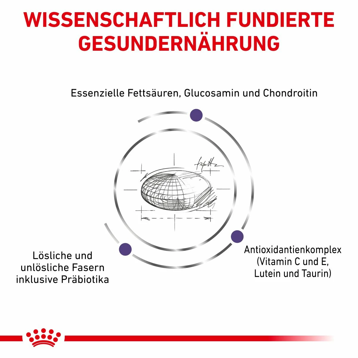 Royal Canin Adult Large Dogs Trockenfutter Für Hunde 13 Kg Trockenfutter Für Hunde 4 Royal Canin Adult Large Dogs Trockenfutter Für Hunde 13 Kg Trockenfutter Für Hunde – Bild 4