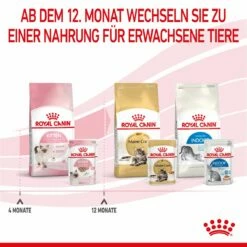 Royal Canin Kitten Frischebeutel Mousse 12 X 85 G Mousse Frischebeutel -Geflügelbedarf Verkäufe 2024 sdkgjfX5xfMh 9003579003831 4505 8