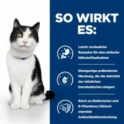 Hills I/d Mit ActivBiome+ Ragout In Dosen Für Katzen 24 X 82 G Ragout Mit ActivBiome+ In Dosen Für Katzen -Geflügelbedarf Verkäufe 2024 si03mzqeYvg5 52742039893 3