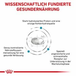 Royal Canin Hypoallergenic Puppy Trockenfutter Für Hunde 1,5 Kg Trockenfutter Für Hunde -Geflügelbedarf Verkäufe 2024 vfeN5MMLofuN 3182550939010 5824 3