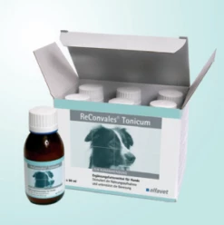 Alfavet ReConvales Tonicum Hund 6 X 90 Ml ReConvales Tonicum Hund