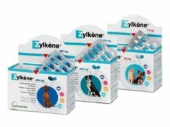 Vetoquinol Zylkene Für Hund Und Katze Gegen Stress Und Angst 100 X 75 Mg Zylkene Kapseln