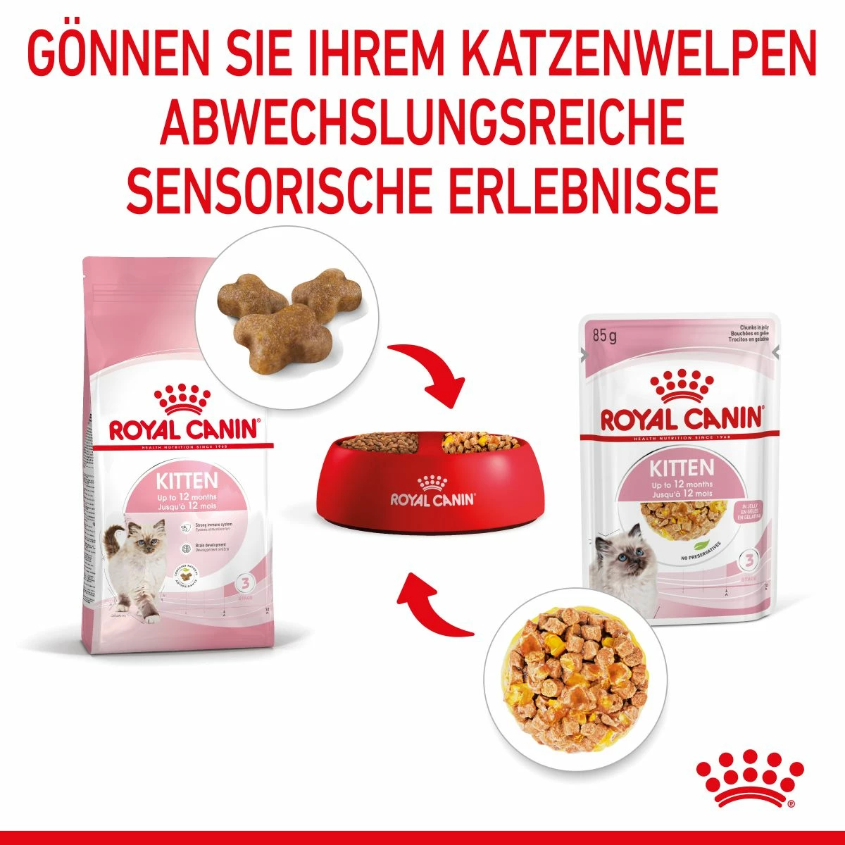Royal Canin Kitten Frischebeutel Mit Gelee 12 X 85 G In Gelee Frischebeutel 4 Royal Canin Kitten Frischebeutel Mit Gelee 12 X 85 G In Gelee Frischebeutel – Bild 4
