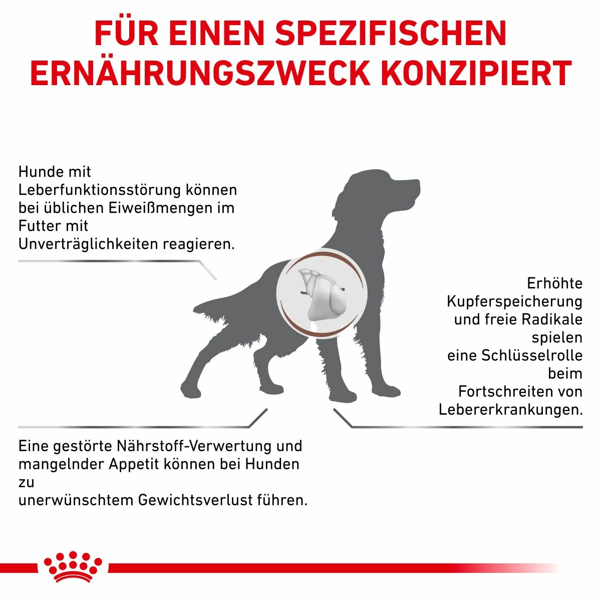 Royal Canin Hepatic Trockenfutter Für Hunde 1,5 Kg Trockenfutter Für Hunde 2 Royal Canin Hepatic Trockenfutter Für Hunde 1,5 Kg Trockenfutter Für Hunde – Bild 2